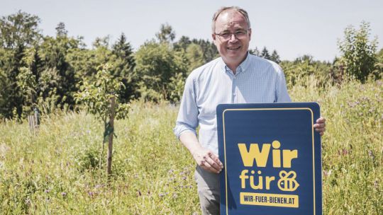 LH-Stv. Stephan Pernkopf in einer Blumenwiese.