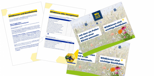 einige Seite der Arbeitsblätter