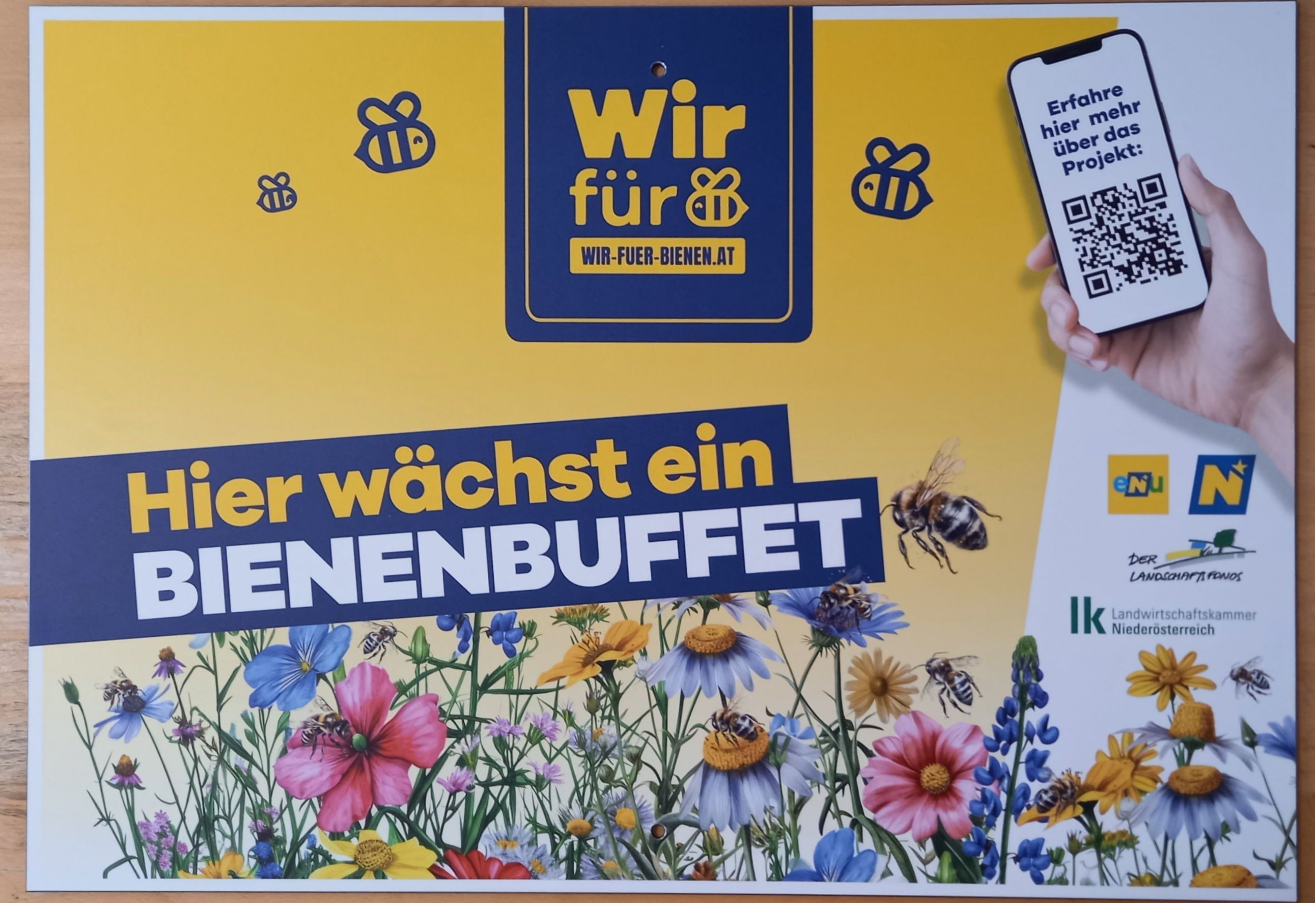 schild-bienen-wiese