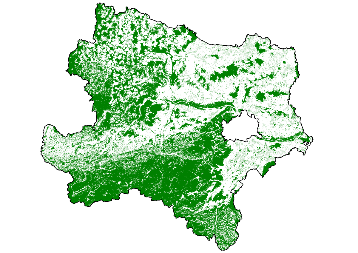 Wald