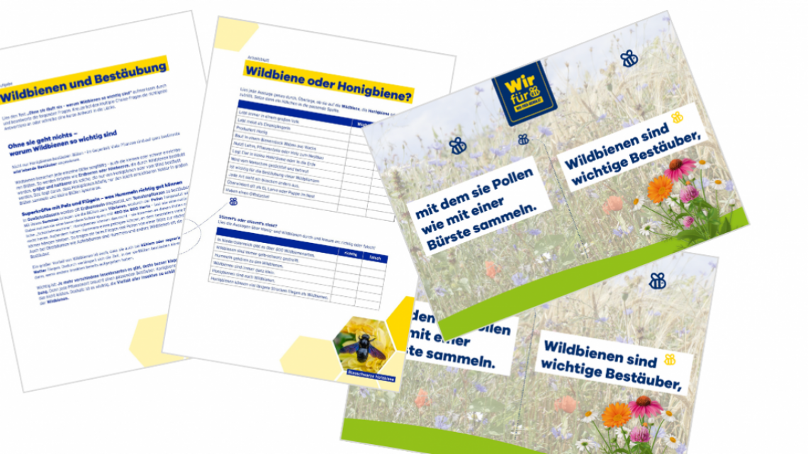 einige Seite der Arbeitsblätter