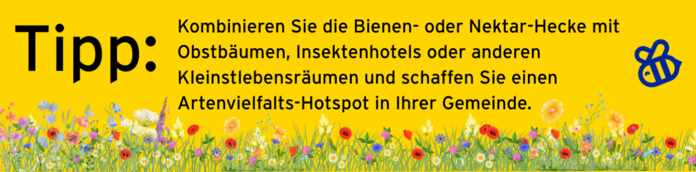 Tipp: Kombinieren Sie die Bienen- oder Nektar-Hecke mit Obstbäumen, Insektenhotels oder anderen Kleinstlebensräumen und schaffen Sie einen Artenvielfalts-Hotspot in Ihrer Gemeinde.