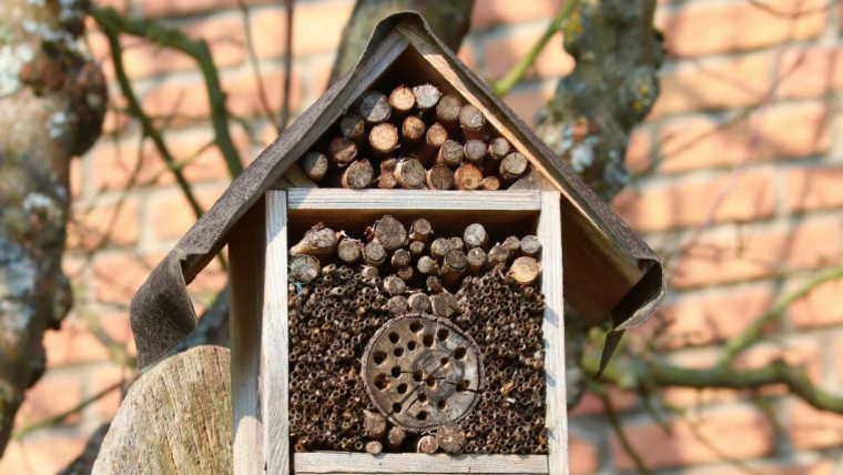 Kleines Insektenhotel mit Satteldach