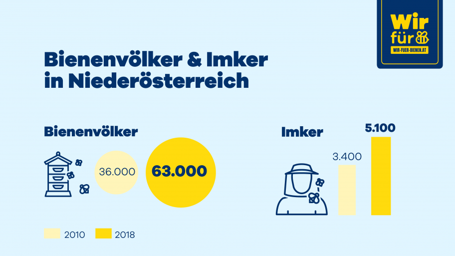 eNu-Infografik Bienenvölker und Imker in NÖ