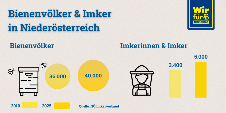 Grafik: zwischen 2010 und 2025 stieg die Zahl der Bienenv&ouml;lker und der Imkerinnen & Imker in Nieder&ouml;sterreich an.