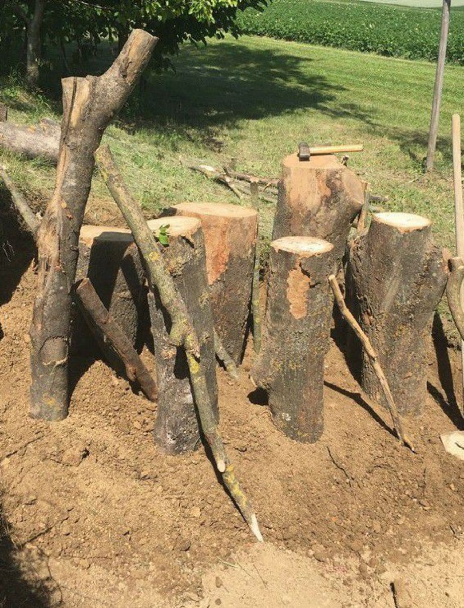 Holzst&auml;mme im Boden vergraben
